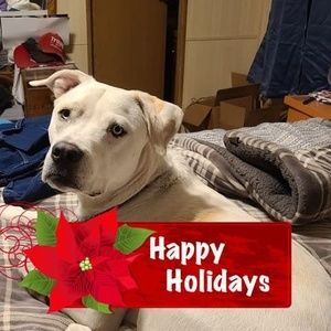 Meet your Posher, Milanaka